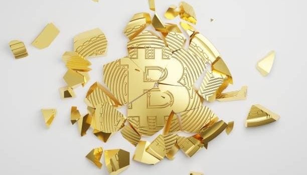 How Wolf Pack Hierarchy Dynamics Model Exchange Governance Structures